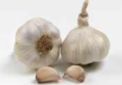 Softneck garlic